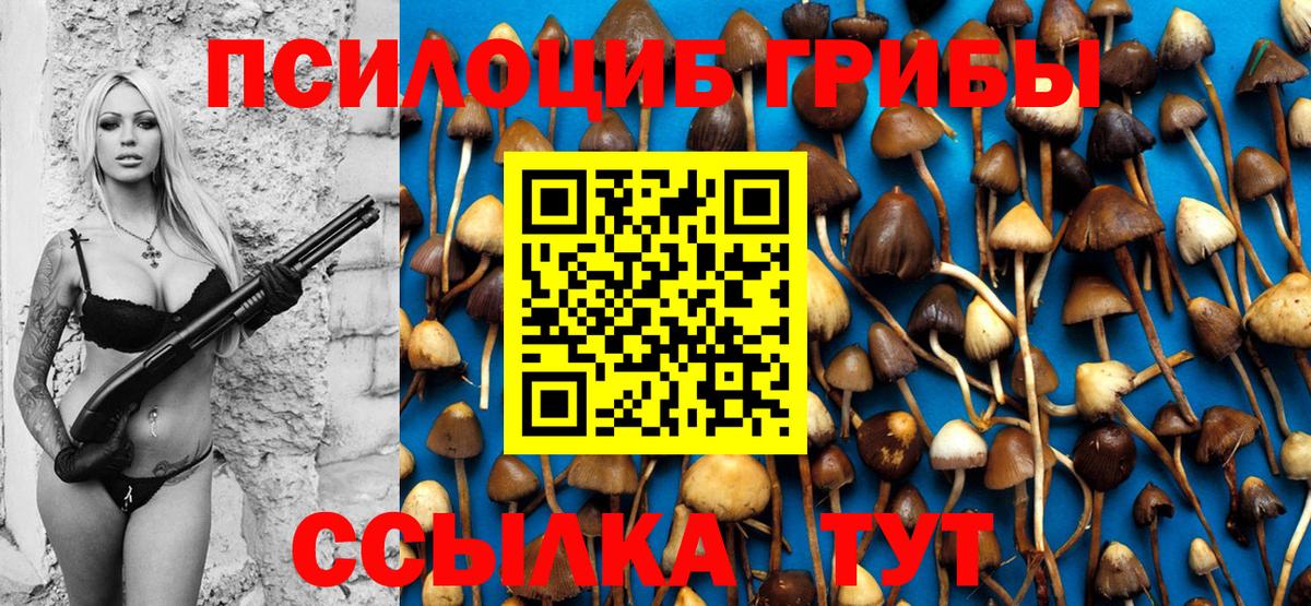Когалым  Галлюциногенные грибы Magic Shrooms  Вход с VPN 