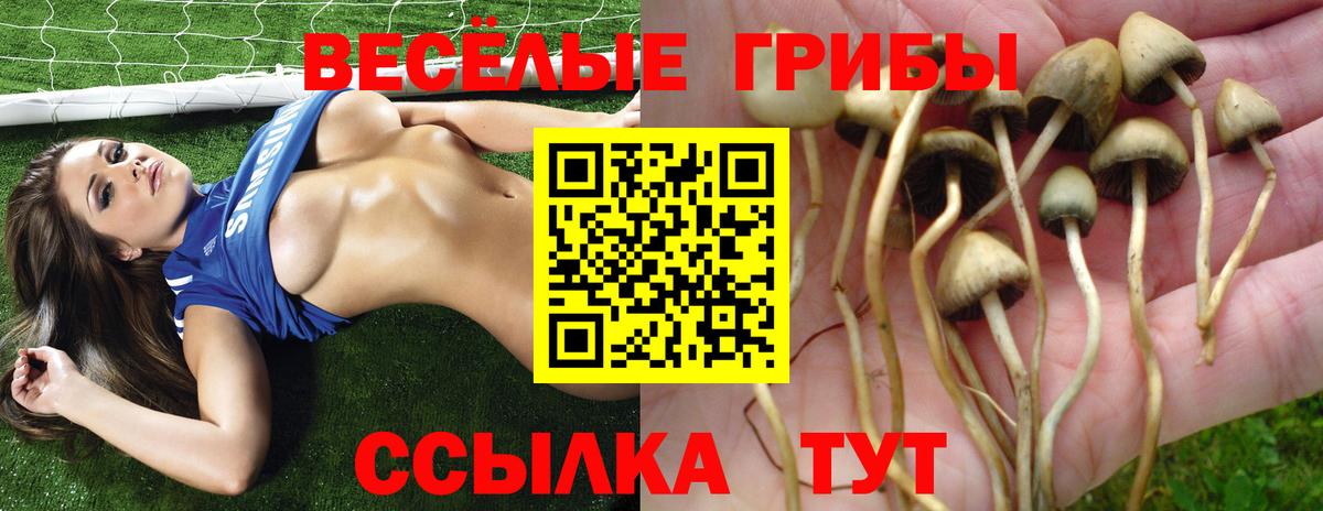 Галлюциногенные грибы прущие грибы Когалым